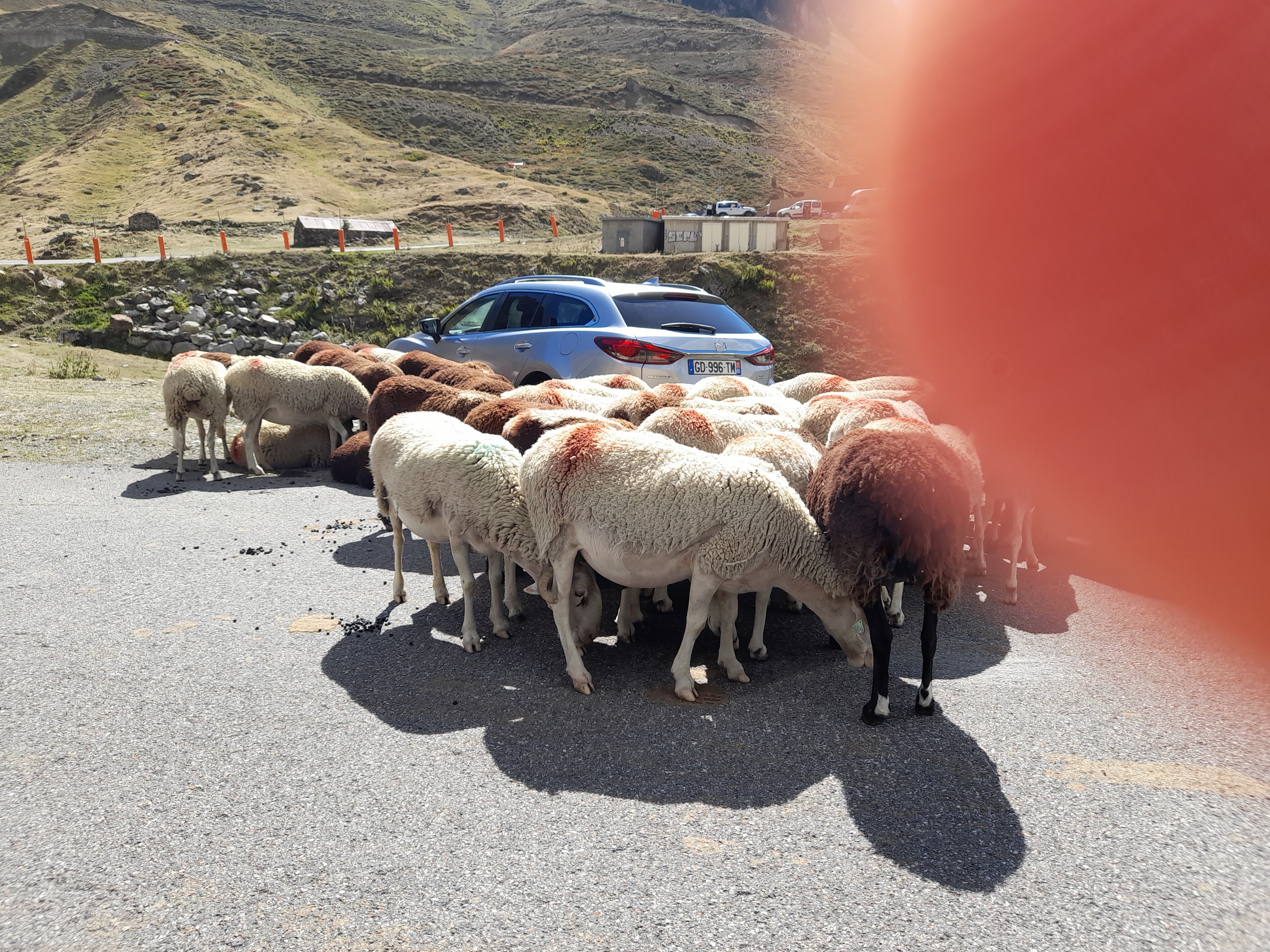 Photo n° 2 de l'avis de Patricia.a fait le 13/09/2022 à 15:45