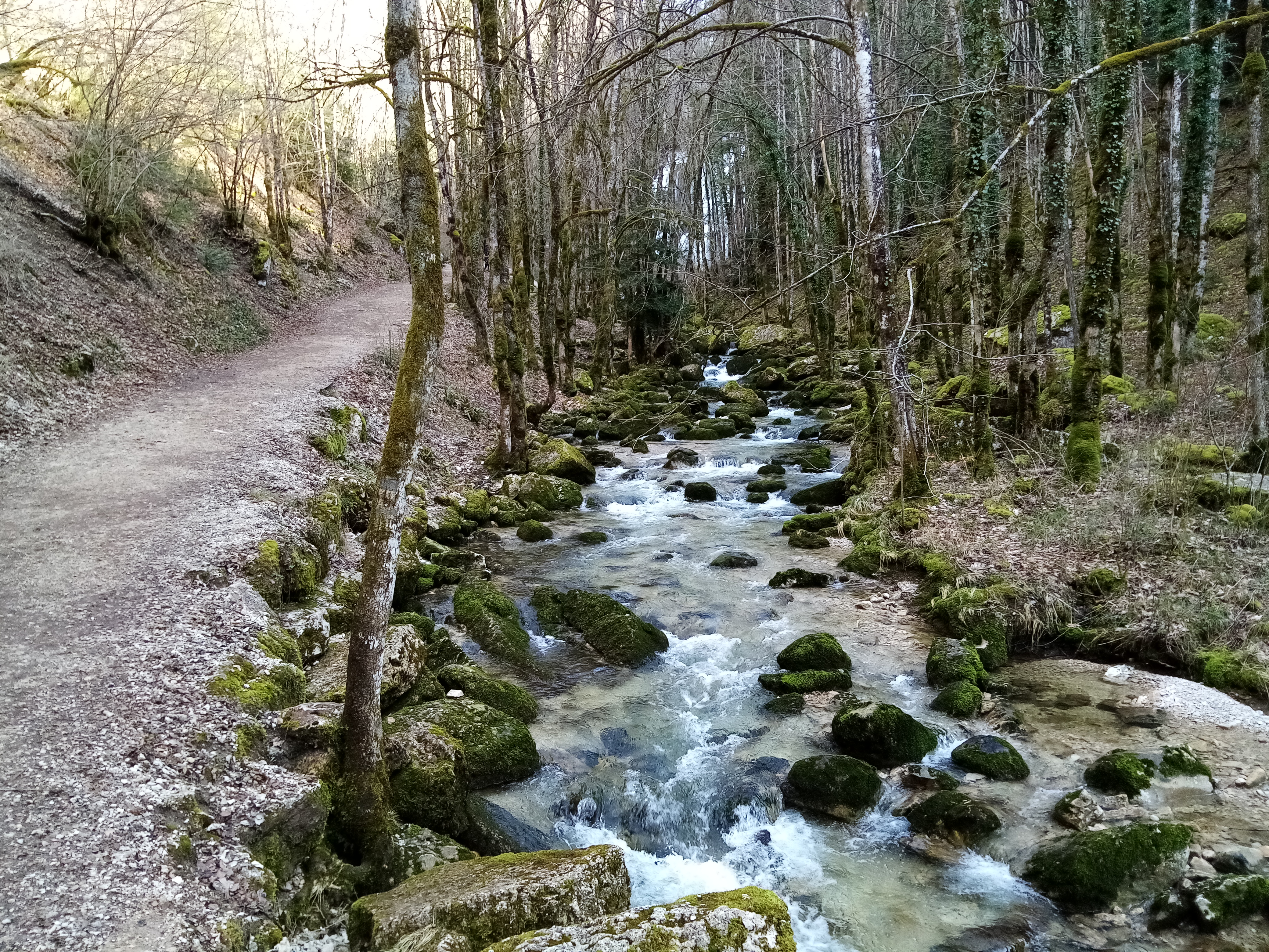Photo n° 3 de l'avis de Fabrice.u fait le 26/02/2020 à 15:44