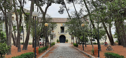 Youth Hostel 