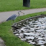 Photo n°3 de l'avis de Frank.. fait le 08/10/2023 à 09:22 sur le  HAUS AM SEE à Cologne