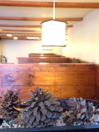 Comentarios y opiniones de Piedra Preciosa Restaurant Rancagua