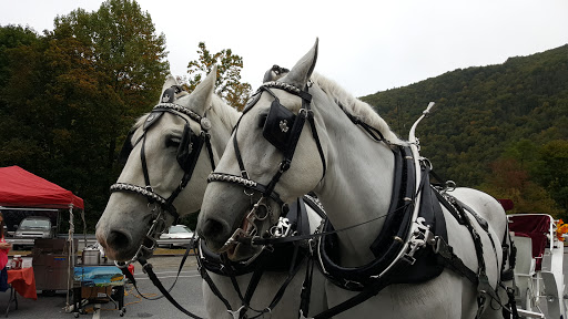 Winery «Big Creek Vineyard», reviews and photos, 41 Susquehanna St, Jim Thorpe, PA 18229, USA