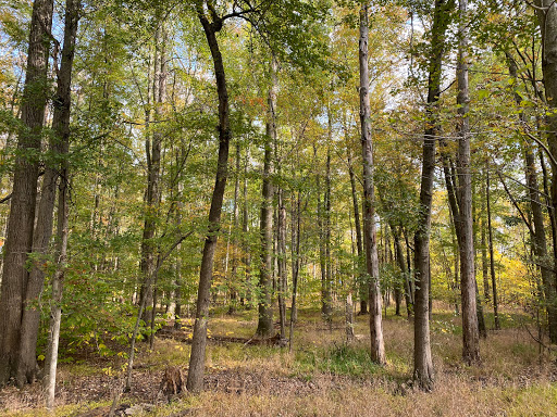 Public Golf Course «Algonkian Golf Course», reviews and photos, 47001 Fairway Dr, Sterling, VA 20165, USA