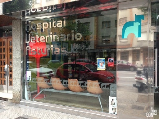 Hospital Veterinario Asturias