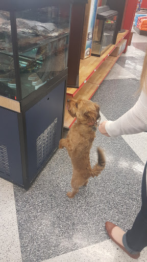 Pet Supply Store «Petco Animal Supplies», reviews and photos, 179 N Milwaukee St, Boise, ID 83704, USA