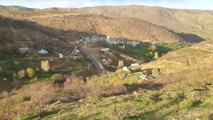 Kartal Köyü
