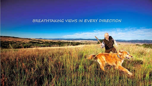 Home Builder «BackCountryCO», reviews and photos, 10420 Backcountry Dr, Highlands Ranch, CO 80126, USA