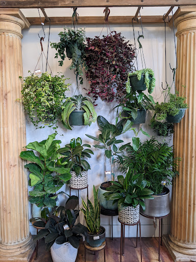 General Store «MOD GEN - A Modern General Store», reviews and photos, 211 N Broadway, Milwaukee, WI 53202, USA