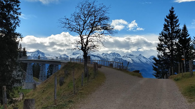 Scheideggstrasse 4, 6356 Rigi Kaltbad, Schweiz