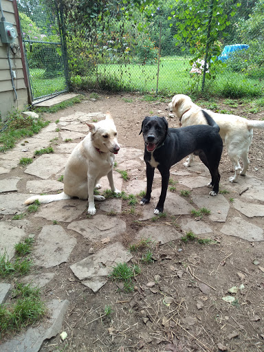 Pet Store «Paws & Tail Pantry», reviews and photos, 386 Main St, Rosendale, NY 12472, USA