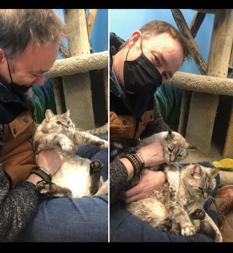 Pet Store «Firehouse Pet Shop & Grooming», reviews and photos, 17 S Wenatchee Ave, Wenatchee, WA 98801, USA