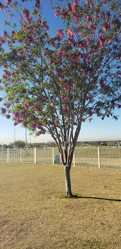 Park «Blackie Chesher Park», reviews and photos, 1100 N Zaragoza Rd, El Paso, TX 79907, USA