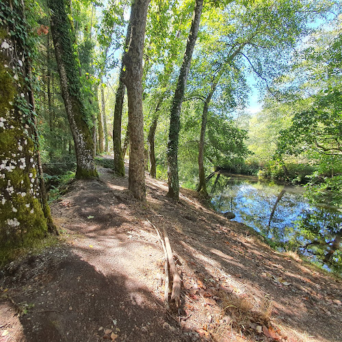 Parque de Campismo São Gião - Restaurante