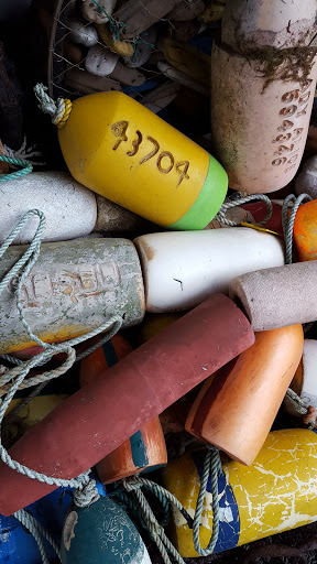 Museum «Museum of the North Beach», reviews and photos, 4658 WA-109, Moclips, WA 98562, USA