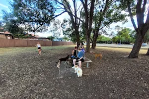 Fenced Off-leash Dog Park image