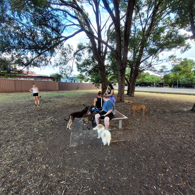 Dog Park