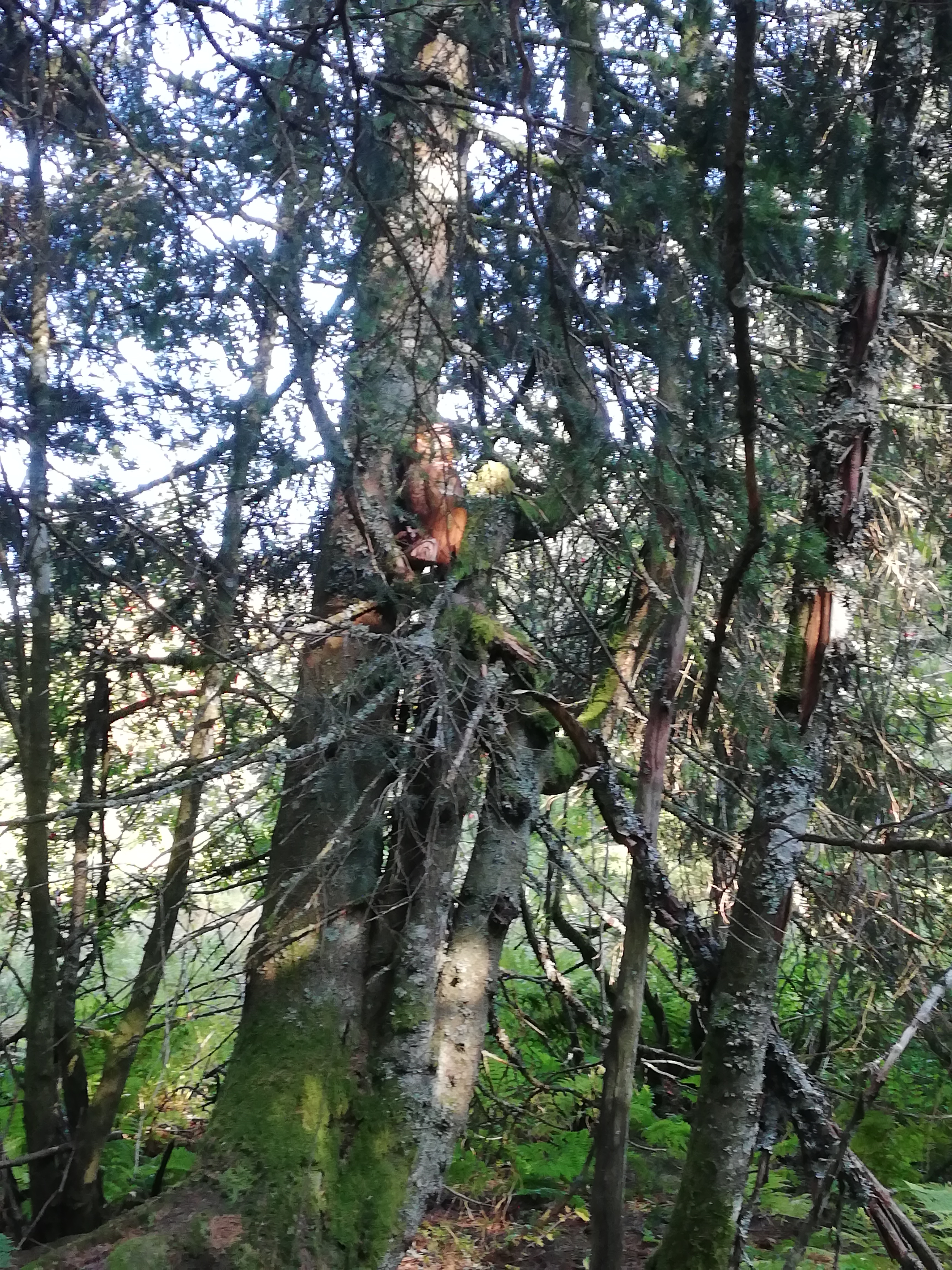 Photo n° 1 de l'avis de Murielle.a fait le 13/09/2020 à 17:23