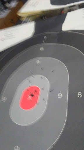 Gun Shop «Glenwood Gun & Pistol Range», reviews and photos, 135 E Main St, Glenwood, IL 60425, USA