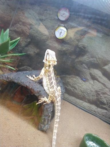 Pet Supply Store «Petco Animal Supplies», reviews and photos, 2895 Gulf Fwy S, League City, TX 77573, USA