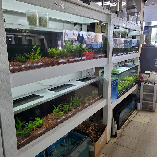 Pet Store «Pet Town», reviews and photos, 7804 Florence Ave, Downey, CA 90240, USA