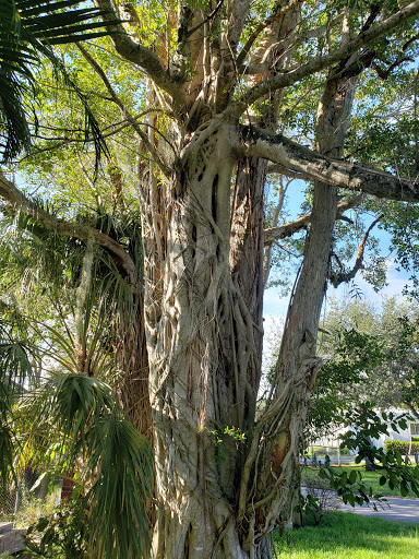 Museum «Old Davie School Historical Museum», reviews and photos, 6650 Griffin Rd, Davie, FL 33314, USA