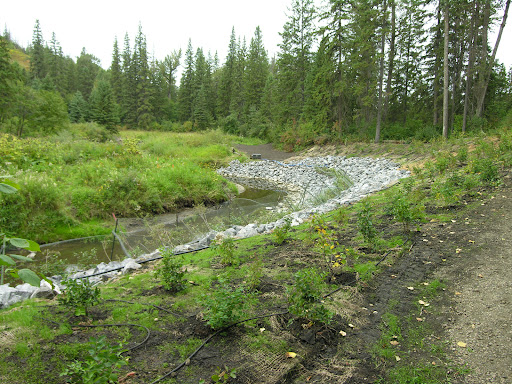 Whitemud Creek ravine lookout