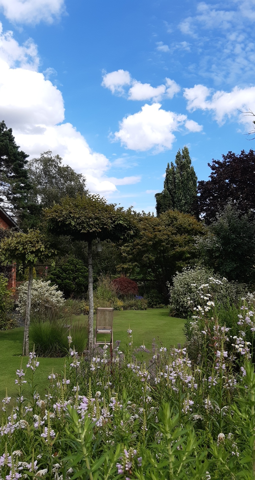 Photo n° 1 de l'avis de Mino.o fait le 26/07/2020 à 17:26