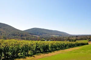 Benigna's Creek Vineyard & Winery image