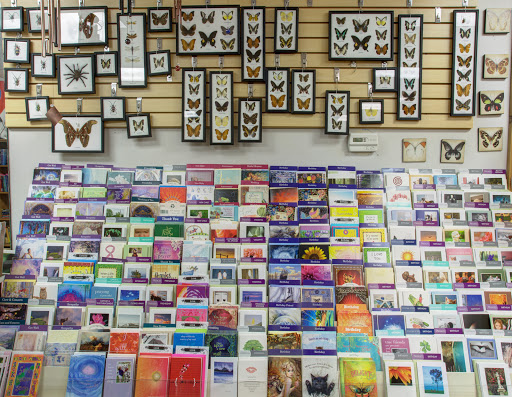 Book Store «Renaissance Books & Gifts», reviews and photos, 1337 E Montclair St, Springfield, MO 65804, USA