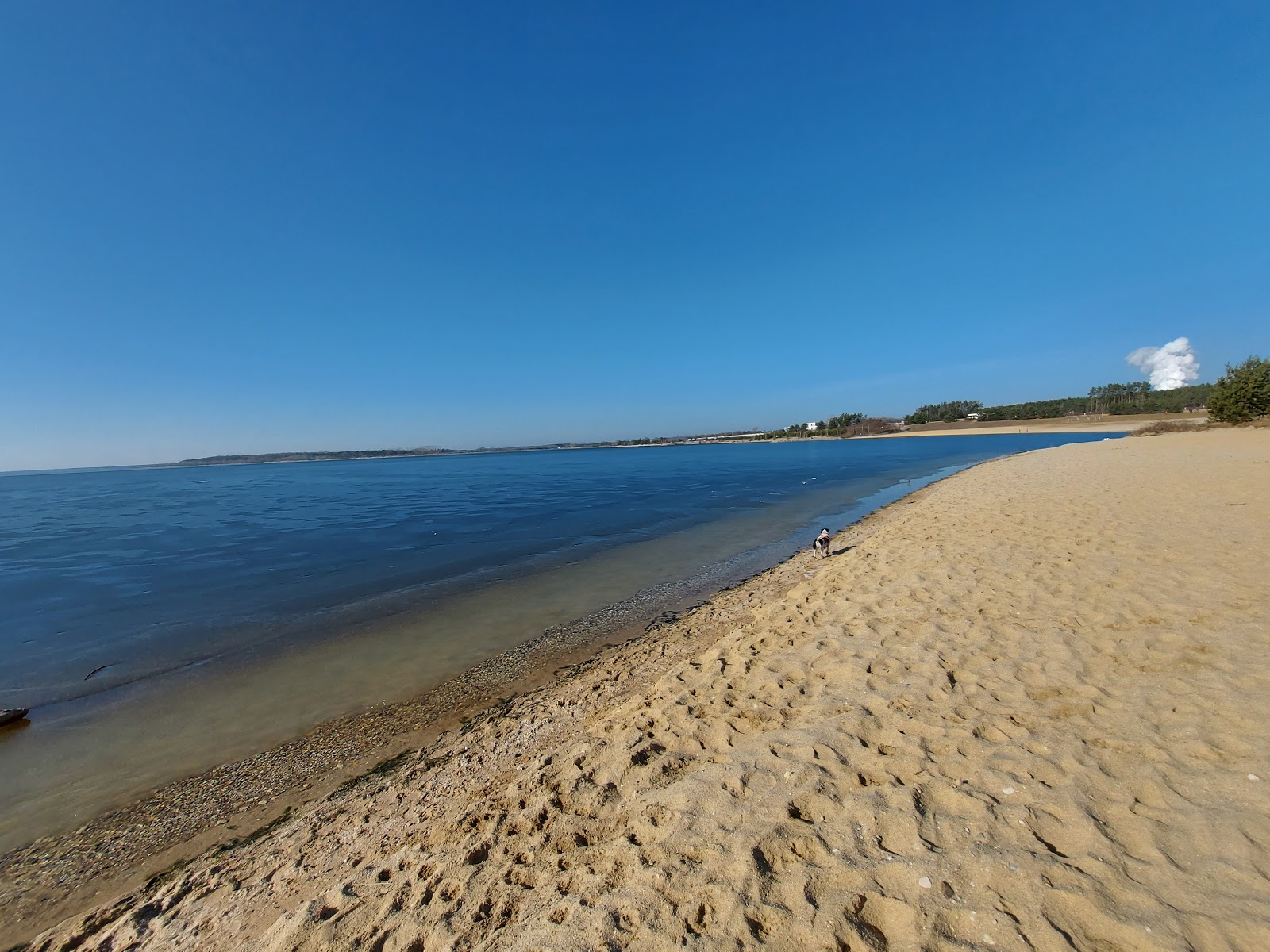 Badestrand Boxberg photo #7