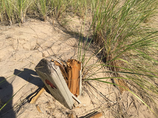 Hiking Area «Cowles Bog Trail», reviews and photos, 1618 N Mineral Springs Rd, Dune Acres, IN 46304, USA