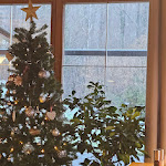 Photo n°5 de l'avis de Ray. fait le 28/12/2023 à 14:14 sur le  Hotel und Chalets Lampllehen à Marktschellenberg