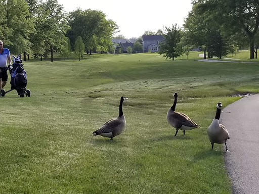 Golf Course «Ironwood Golf Course», reviews and photos, 1901 N Towanda Ave, Normal, IL 61761, USA