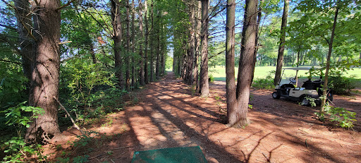 Golf Course «Pine Hills Golf Course», reviews and photos, 6603 Woodbury Rd, Laingsburg, MI 48848, USA