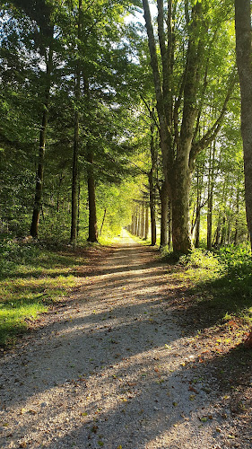 Laiterie de Savagnier Sàrl - Val-de-Ruz