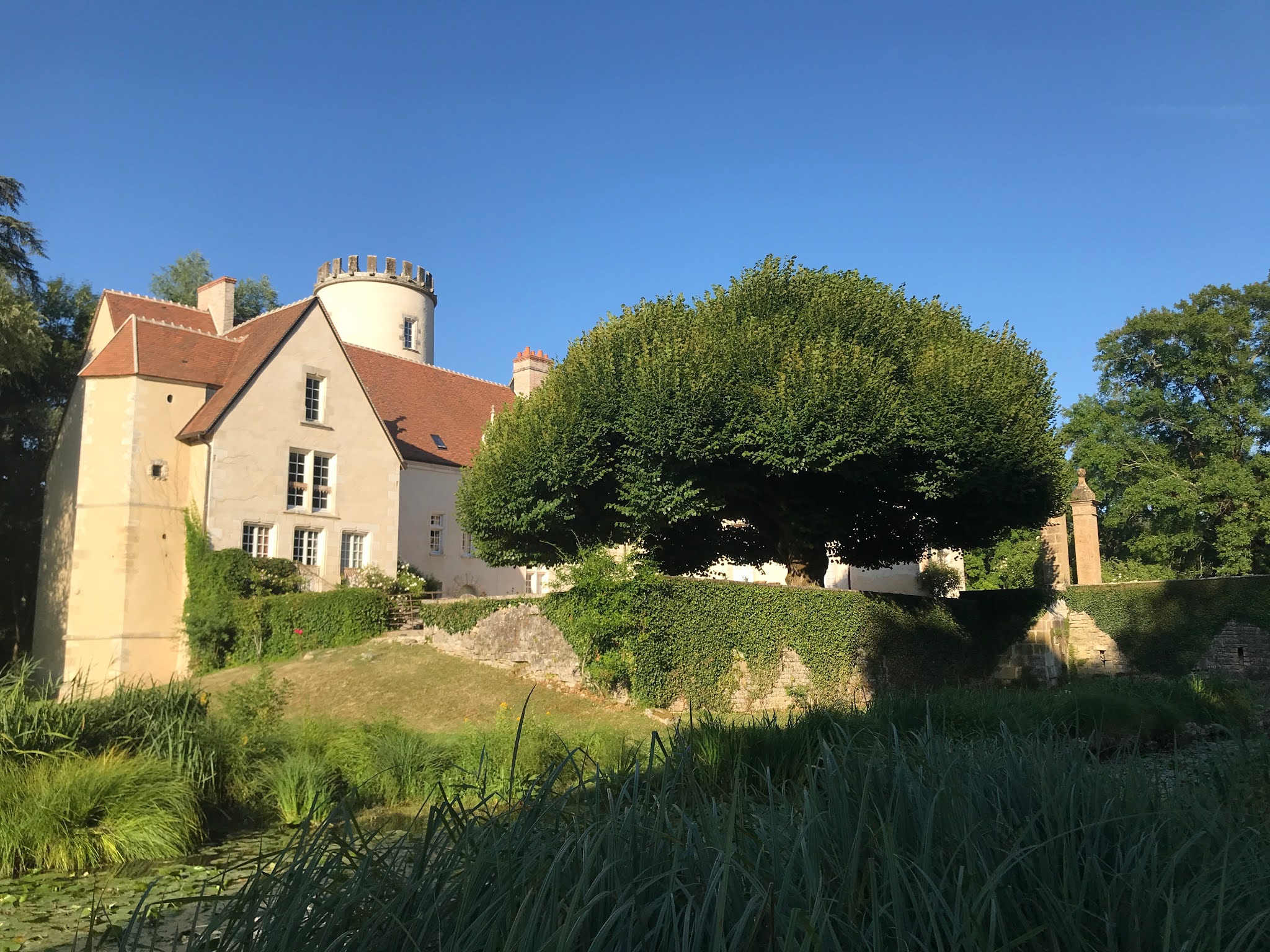 Photo n° 7 de l'avis de Laurence.e fait le 14/07/2020 à 19:05