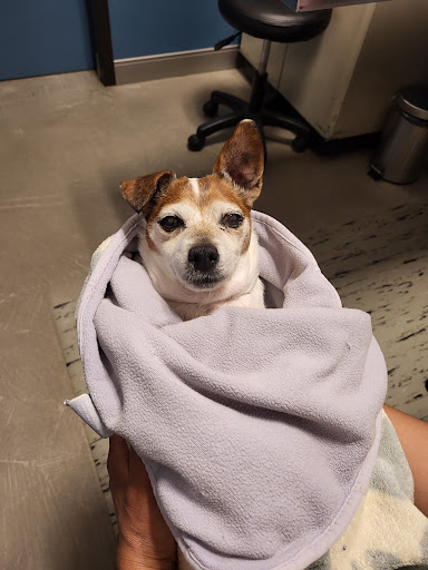 2505 S 80th St, Tacoma, WA 98409, USA