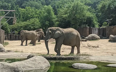 Cleveland Metroparks Zoo image