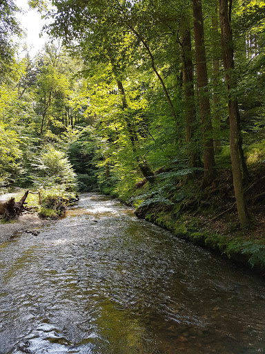 Maisinger Schlucht