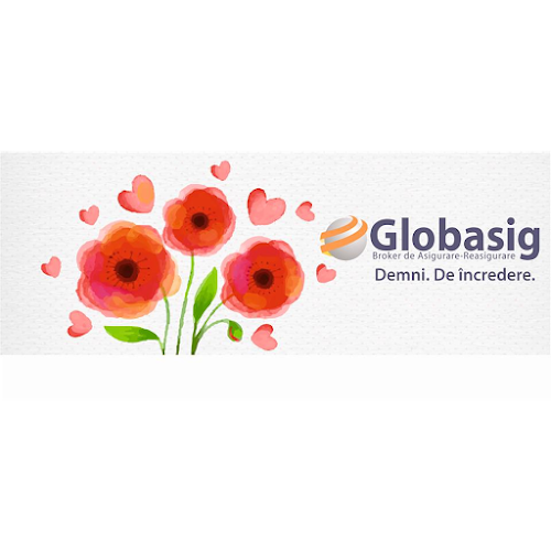 Opinii despre Globasig Timisoara în <nil> - Companie de Asigurari