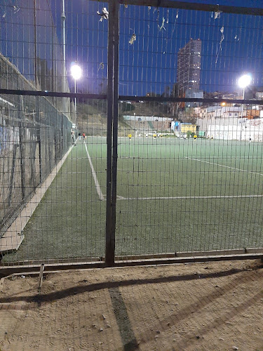Opiniones de Estadio Manuel Guerrero en Valparaíso - Campo de fútbol