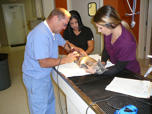 Mayer Veterinary Hospital image