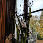 Photo n°3 de l'avis de Yvonne.u fait le 25/10/2017 à 16:28 sur le  Literaturhauscafé à Hamburg