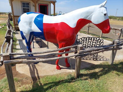 Horse rental service Amarillo