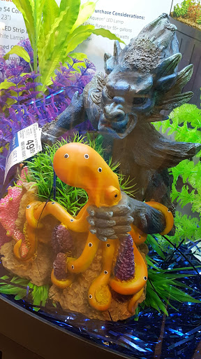 Pet Supply Store «PetSmart», reviews and photos, 4749 Valley View Blvd NW, Roanoke, VA 24012, USA