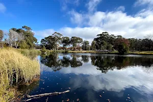 Lyneham Wetlands image