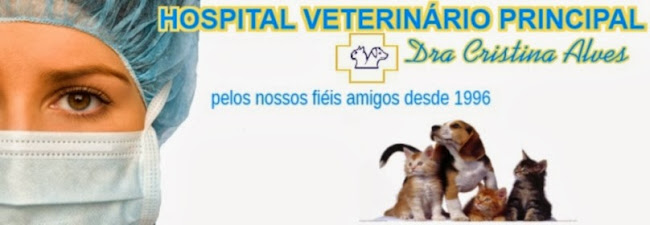 Hospital Veterinário Principal Doutora Cristina Alves - Hospital
