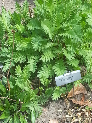 Museum «Barclay Farmstead Museum», reviews and photos, 209 Barclay Ln, Cherry Hill, NJ 08034, USA