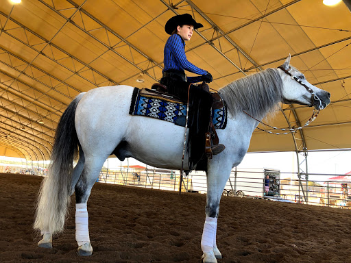 Event Venue «WestWorld of Scottsdale», reviews and photos, 16601 N Pima Rd, Scottsdale, AZ 85260, USA