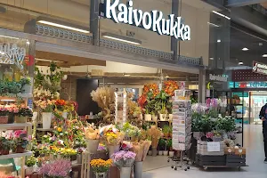 Kaivokukka Sello image